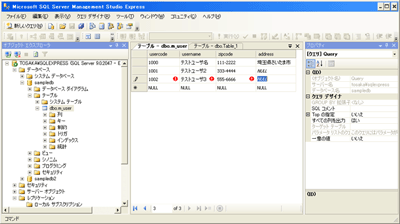データの登録・更新画面