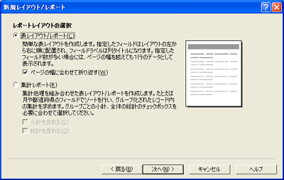 表レイアウト/レポートの指定画面
