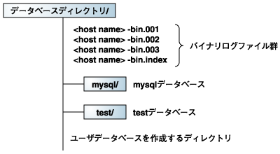 MySQLデータベースディレクトリ