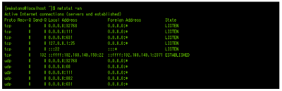 CentOSインストール直後の接続待ち