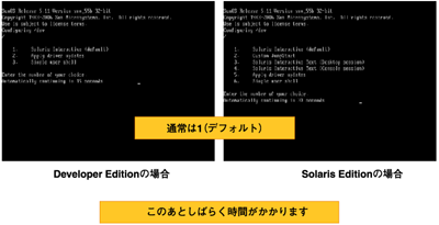 インストール種類の選択