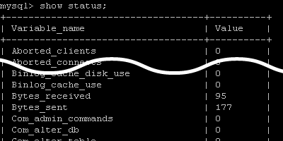 show statusコマンドの情報
