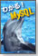 �킩��IMySQL