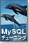 MySQL�`���[�j���O