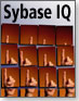 Sybase IQ