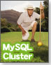 �y�f�[�^�x�[�X�Ă̐w�zMySQL Cluster�������I