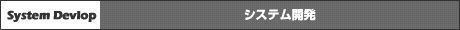 システム開発
