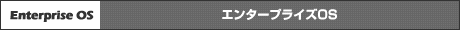エンタープライズOS
