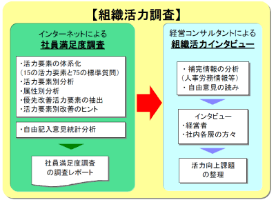 組織活力調査(社員満足度調査、組織活力インタビュー)の概要