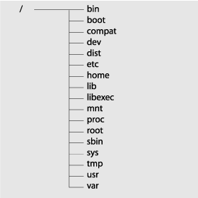 BSDのルートディレクトリ