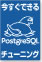 �������ł���PostgreSQL�`���[�j���O