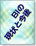 BIの現状と今後