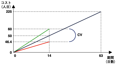 CVの確認